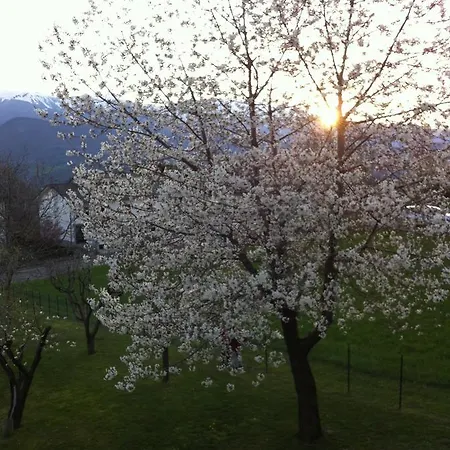 Vallorsara Bed and breakfast Romanoro